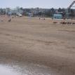On the Beach/North Sea/Skegness